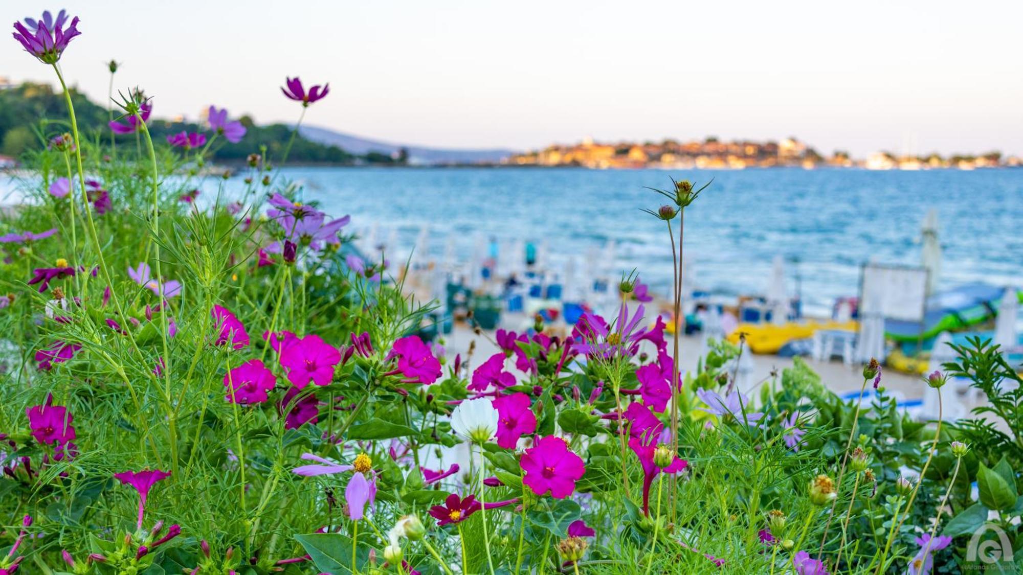 Perla Apartments Νεσέμπαρ Εξωτερικό φωτογραφία